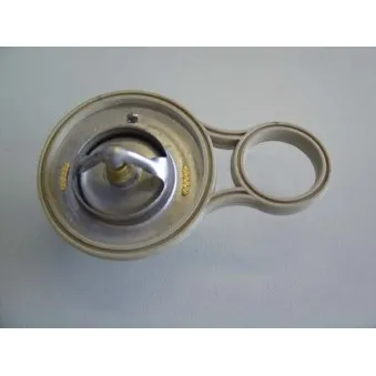 Thermostat d'eau WAHLER 410263.91D