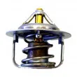 Thermostat d'eau WAHLER 410351.88D - Visuel 1