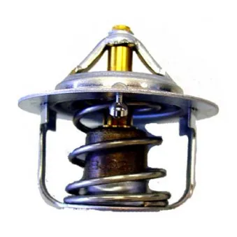 Thermostat d'eau WAHLER 410351.88D