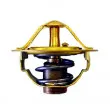 Thermostat d'eau WAHLER 410352.82D - Visuel 1
