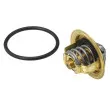 Thermostat d'eau WAHLER 410396.82D - Visuel 2