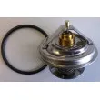 Thermostat d'eau WAHLER 4105.79D - Visuel 2
