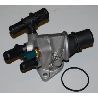 Thermostat d'eau WAHLER 410511.88D