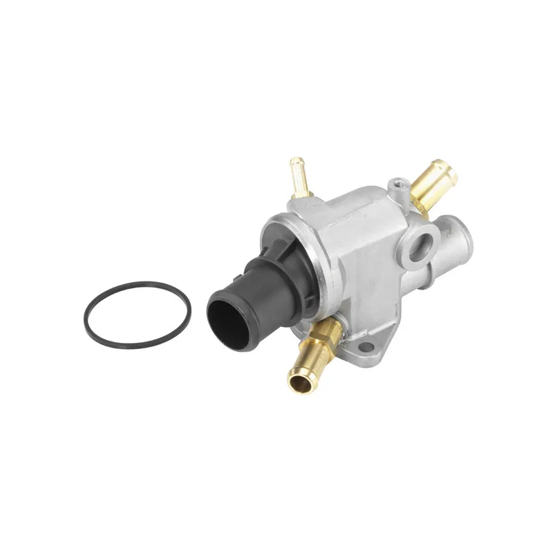 Thermostat d'eau WAHLER 410513.88D
