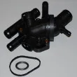 Thermostat d'eau WAHLER 410518.89D - Visuel 1