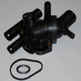 Thermostat d'eau WAHLER 410518.89D
