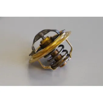 Thermostat d'eau WAHLER 410537.92D