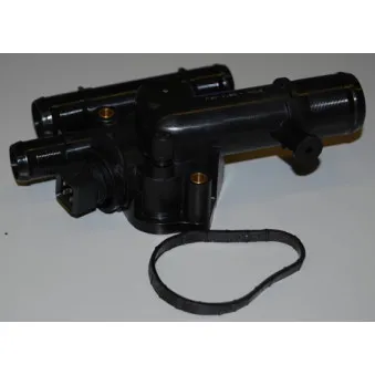 Thermostat d'eau WAHLER 410538.89D