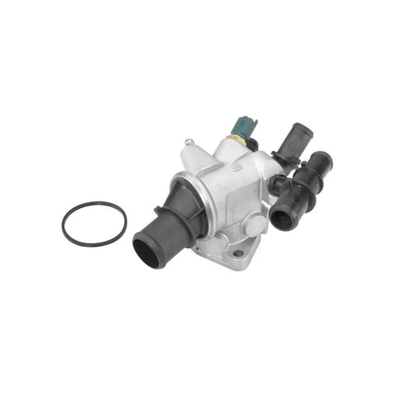 Thermostat d'eau WAHLER 410589.88D
