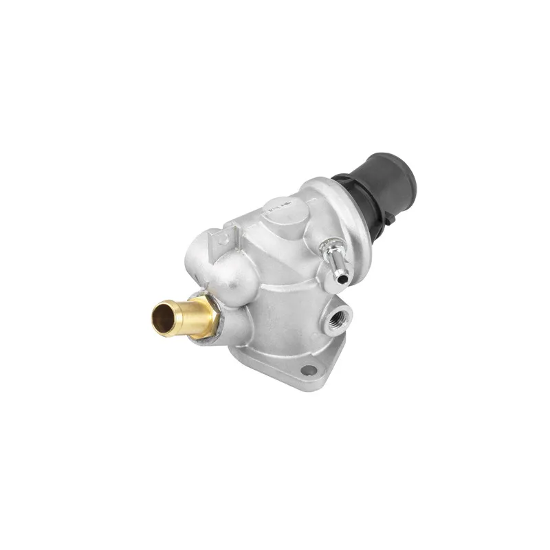 Thermostat d'eau WAHLER 410590.88D