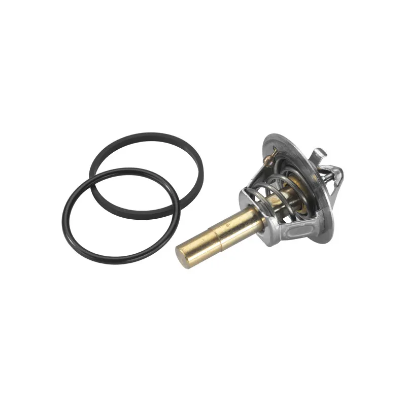 Thermostat d'eau WAHLER 410779.88D