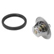 Thermostat d'eau WAHLER 410808.88D - Visuel 2