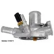 Thermostat d'eau WAHLER 410871.80D - Visuel 1