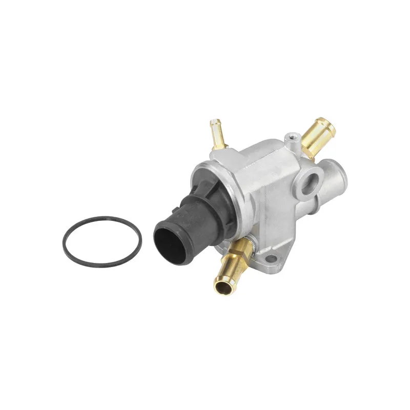 Thermostat d'eau WAHLER 410994.88D
