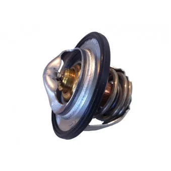 Thermostat d'eau WAHLER 411193.82D