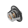 Thermostat d'eau WAHLER 411193.82D - Visuel 2