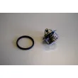 Thermostat d'eau WAHLER 411241.82D - Visuel 1