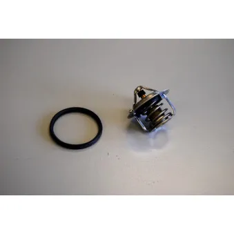 Thermostat d'eau WAHLER 411241.82D