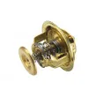 Thermostat d'eau WAHLER 4126.88 - Visuel 2