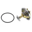 Thermostat d'eau WAHLER 4137.71D - Visuel 3