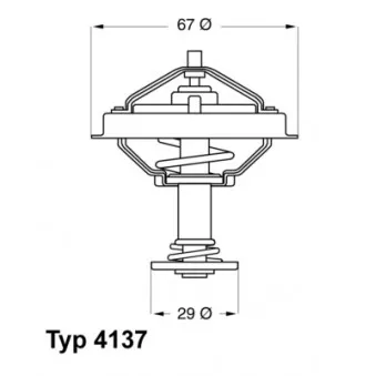 Thermostat d'eau WAHLER 4137.80D