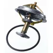 Thermostat d'eau WAHLER 4137.80D - Visuel 2