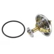 Thermostat d'eau WAHLER 4137.80D - Visuel 3