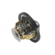 Thermostat d'eau WAHLER 4151.76D - Visuel 2