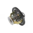 Thermostat d'eau WAHLER 4151.79D - Visuel 2