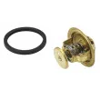 Thermostat d'eau WAHLER 4154.88D - Visuel 2