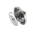 Thermostat d'eau WAHLER 4161.83 - Visuel 2