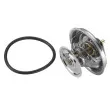 Thermostat d'eau WAHLER 4165.79D - Visuel 2