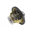 Thermostat d'eau WAHLER 4174.82D - Visuel 2