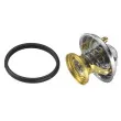 Thermostat d'eau WAHLER 4176.75D - Visuel 3