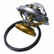 Thermostat d'eau WAHLER 4176.85D - Visuel 2