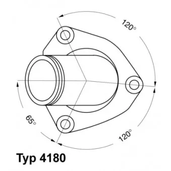 Thermostat d'eau WAHLER 4180.82D