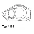 Thermostat d'eau WAHLER 4189.87D - Visuel 1
