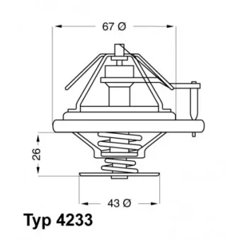 Thermostat d'eau WAHLER 4233.84D