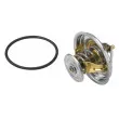 Thermostat d'eau WAHLER 4235.80D - Visuel 2