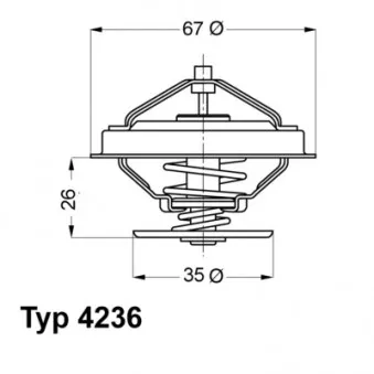 Thermostat d'eau WAHLER 4236.88D