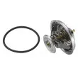 Thermostat d'eau WAHLER 4236.92D - Visuel 3