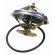 Thermostat d'eau WAHLER 4237.80D - Visuel 2