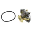 Thermostat d'eau WAHLER 4237.88D - Visuel 3