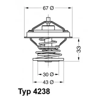 Thermostat d'eau WAHLER 4238.92D