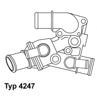 Thermostat d'eau WAHLER 4247.80D