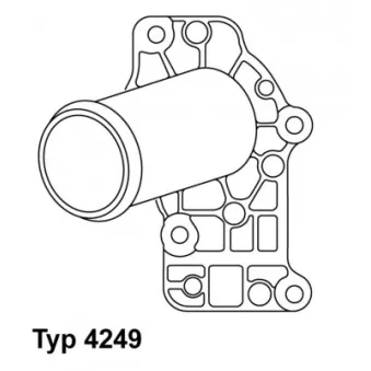 Thermostat d'eau WAHLER 4249.83D