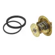 Thermostat d'eau WAHLER 4256.80D60 - Visuel 2