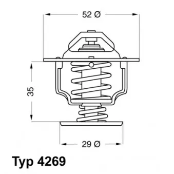 Thermostat d'eau WAHLER 4269.78D