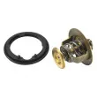 Thermostat d'eau WAHLER 4269.78D - Visuel 2