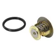 Thermostat d'eau WAHLER 4270.88D - Visuel 2